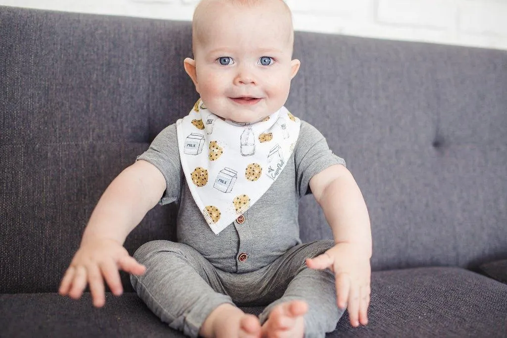 Baby Bandana Bibs - Chip