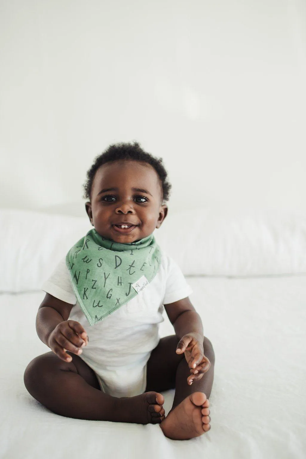 Baby Bandana Bibs - Chip