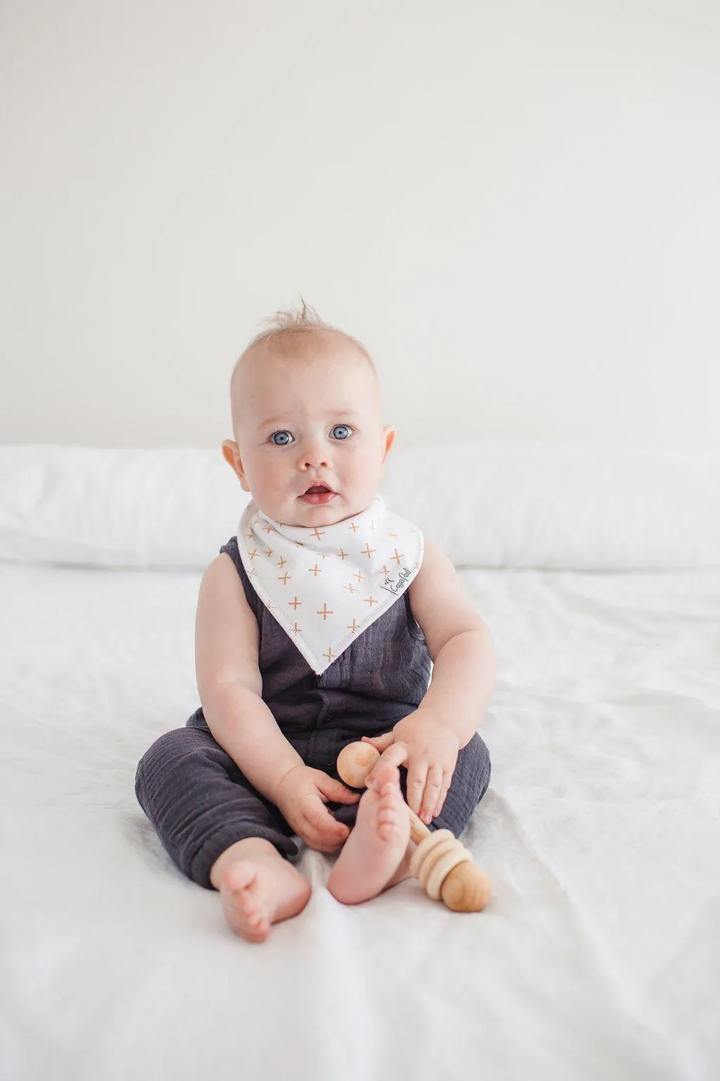 Baby Bandana Bibs - Chip