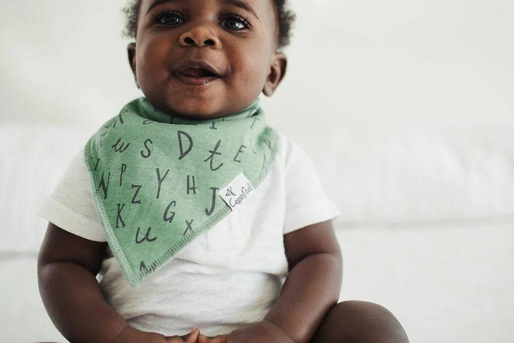 Baby Bandana Bibs - Chip