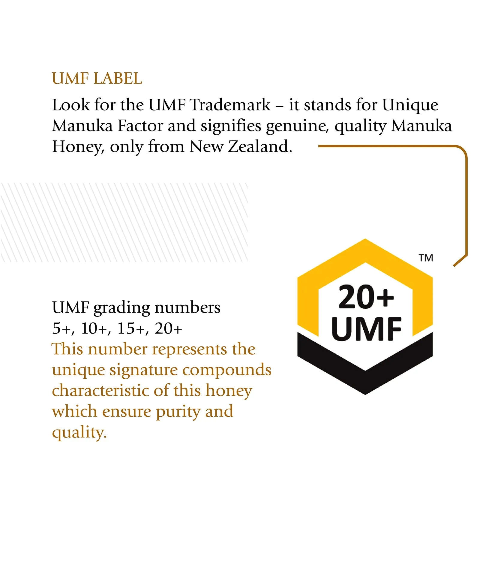 BeeNz Premium Manuka Honey (UMF 20 ) - 250g