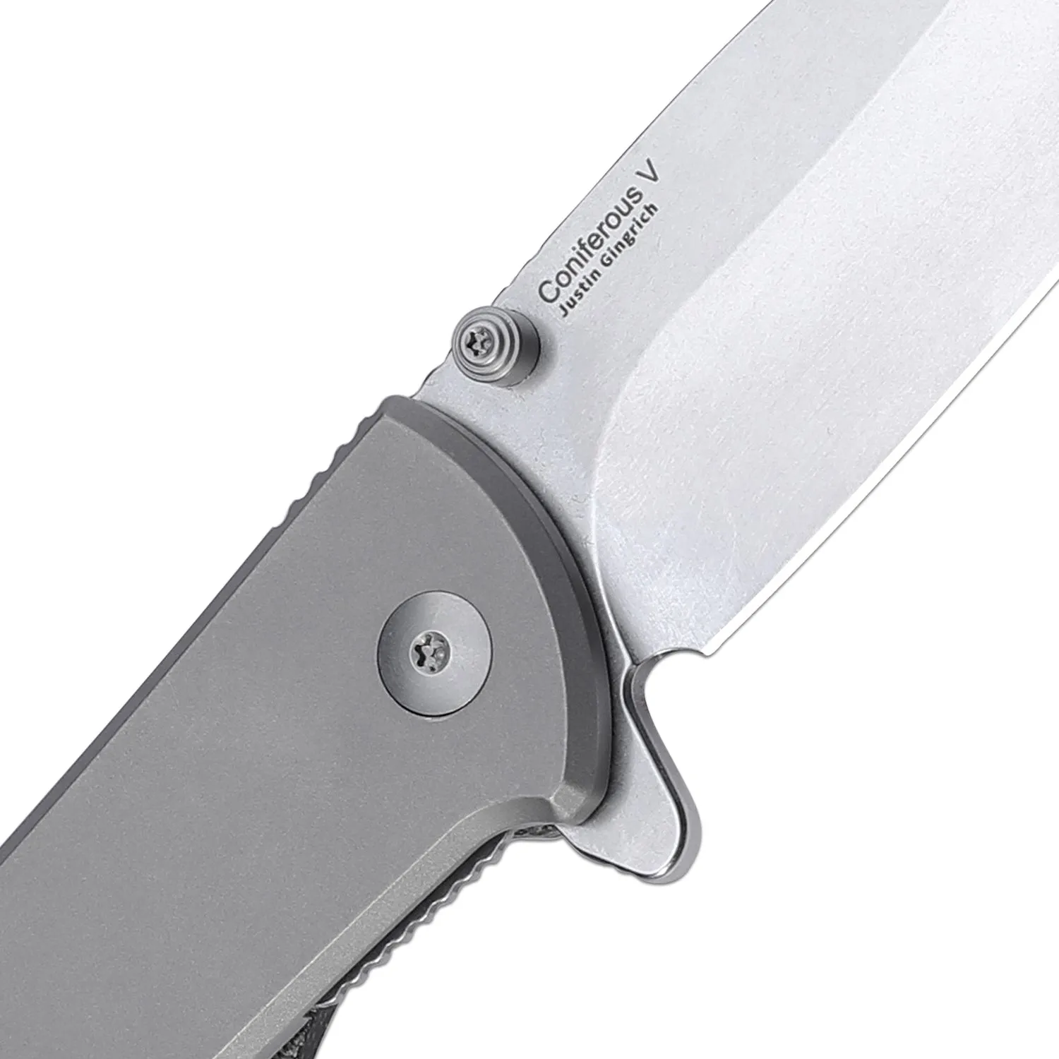 Kizer Coniferous V 154CM Blade Titanium Micarta Handle V4609C1 (3.35 Stonewash)