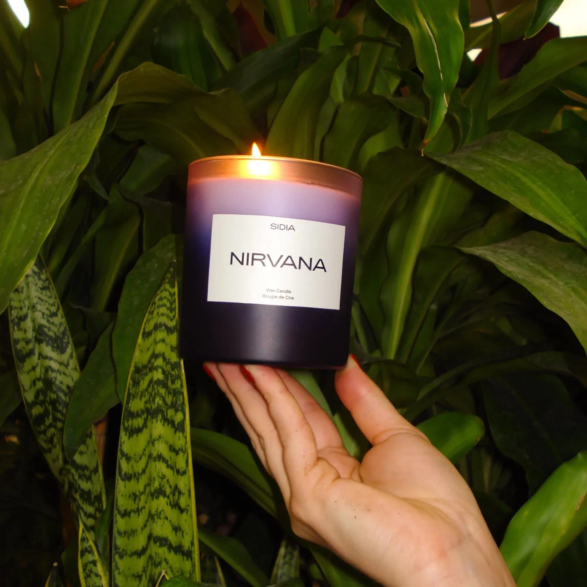 Nirvana Candle by Sidia